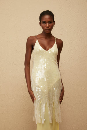 Aurohaya Joyau Yellow Sequin Mesh Maxi Dress