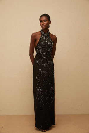 Aurohaya Perle Black Embellished Skinny Cut Maxi Dress