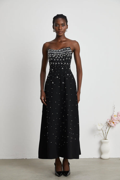 Aurohaya Melisande black embellished maxi dress