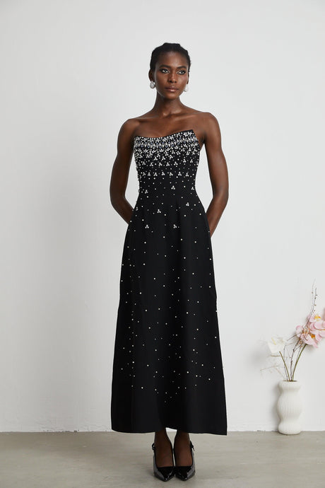 Aurohaya Melisande black embellished maxi dress