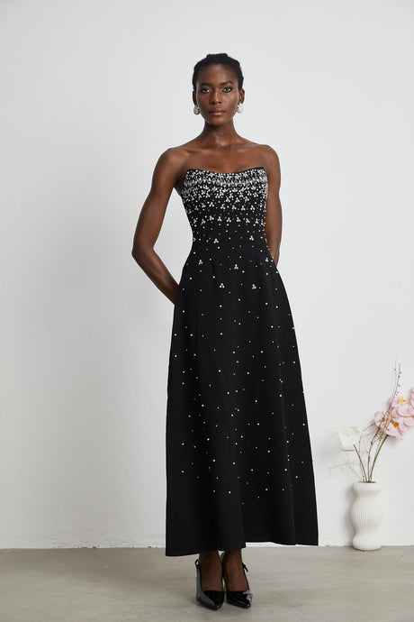 Aurohaya Melisande black embellished maxi dress