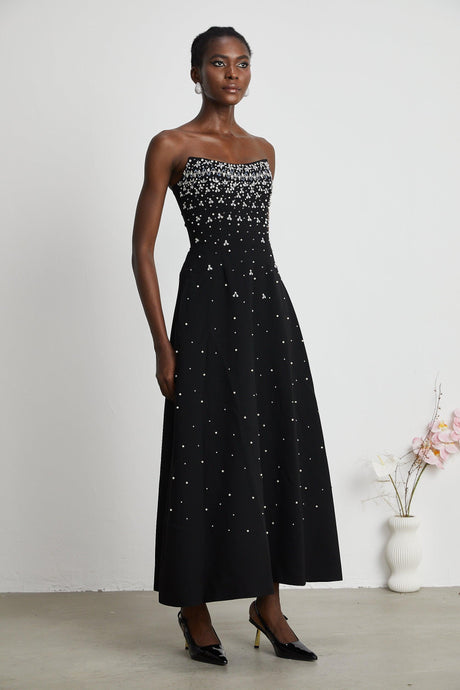 Aurohaya Melisande black embellished maxi dress