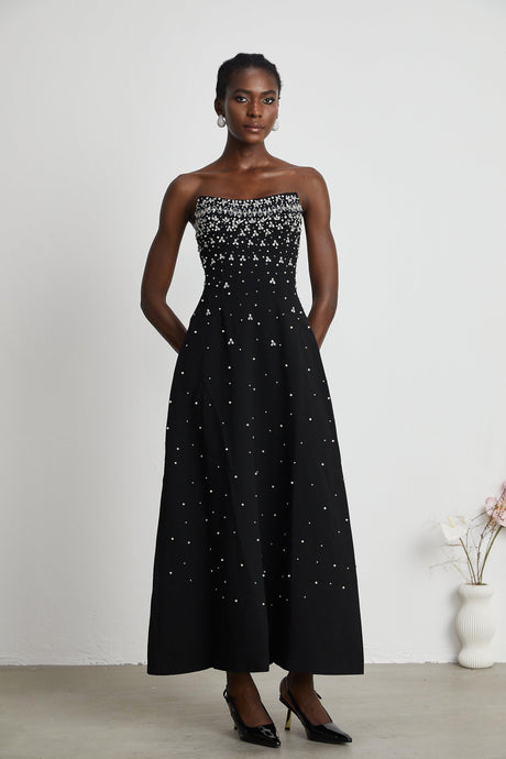 Aurohaya Melisande black embellished maxi dress