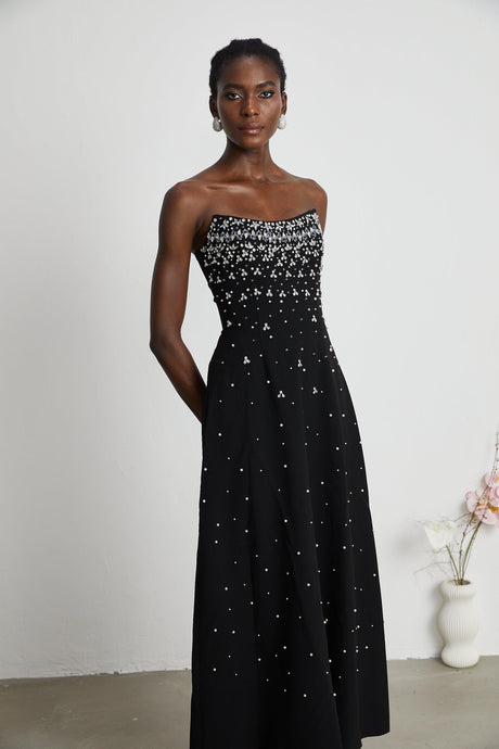 Aurohaya Melisande black embellished maxi dress