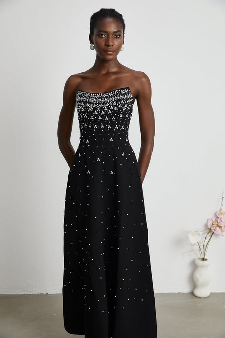 Aurohaya Melisande black embellished maxi dress