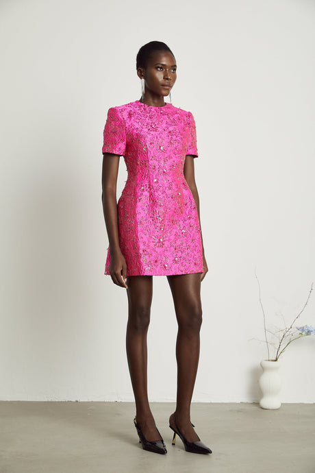 Aurohaya Celestia Floral-Appliqué Embellished Mini Dress in Pink