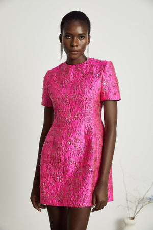 Aurohaya Celestia Floral-Appliqué Embellished Mini Dress in Pink