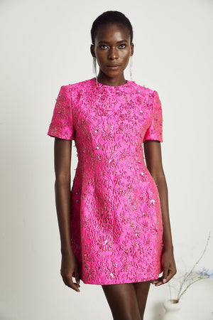 Aurohaya Celestia Floral-Appliqué Embellished Mini Dress in Pink