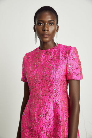 Aurohaya Celestia Floral-Appliqué Embellished Mini Dress in Pink