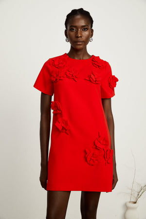 Aurohaya Calista red floral-detail short-sleeve mini dress