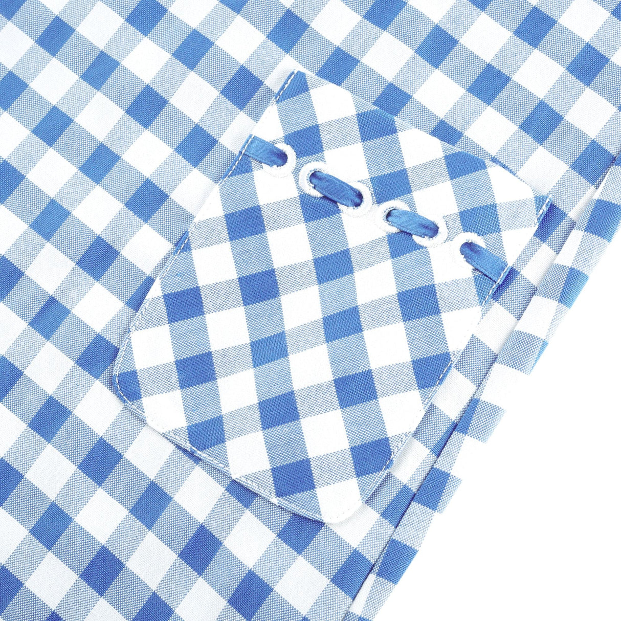 Aurohaya Diane blue gingham midi dress