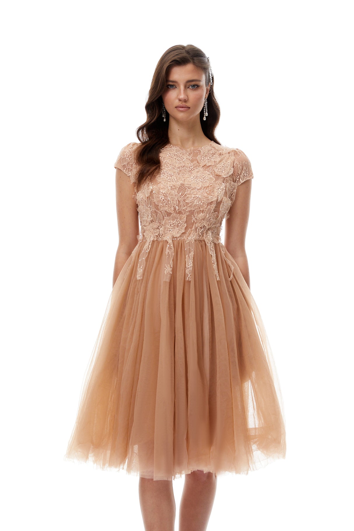 Aurohaya Fern Brown Lace Panel Tulle Midi Dress