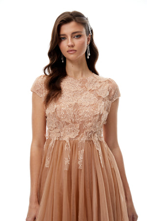 Aurohaya Fern Brown Lace Panel Tulle Midi Dress
