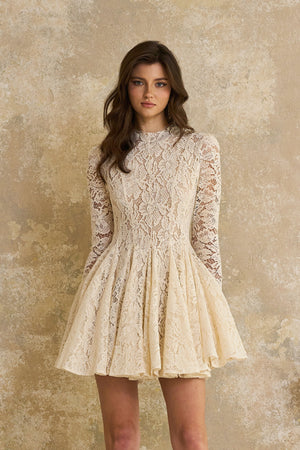 Aurohaya Bronte White Pleated Floral Lace Mini Dress