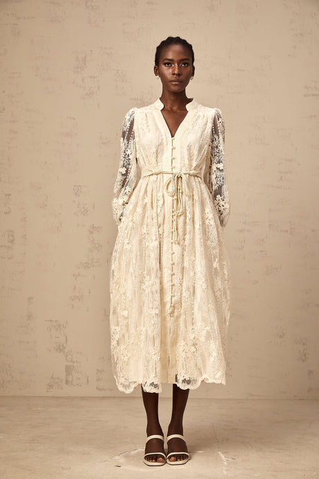 Aurohaya Roxane neutrals lace-embroidered midi dress