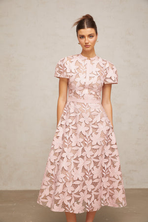 Aurohaya Vérane pink guipure-lace midi dress