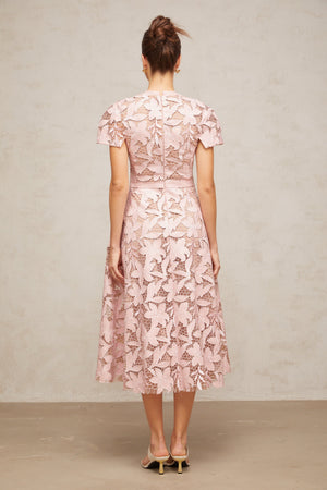 Aurohaya Vérane pink guipure-lace midi dress