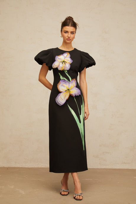 Aurohaya Irène sequined floral-embroidered midi dress in Black