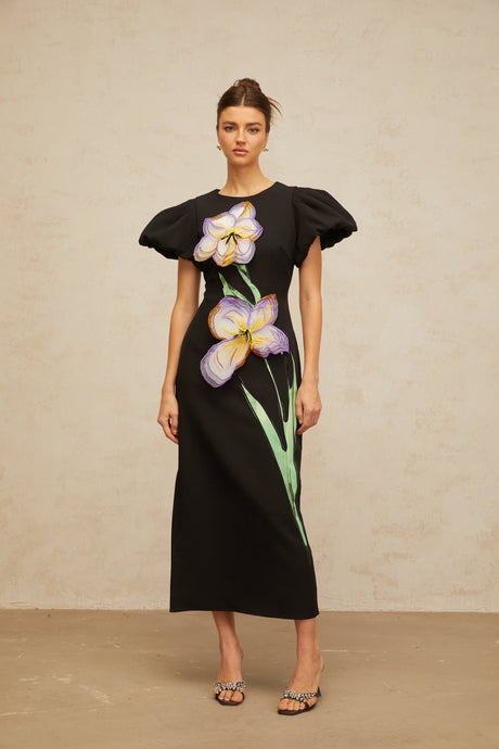 Aurohaya Irène sequined floral-embroidered midi dress in Black