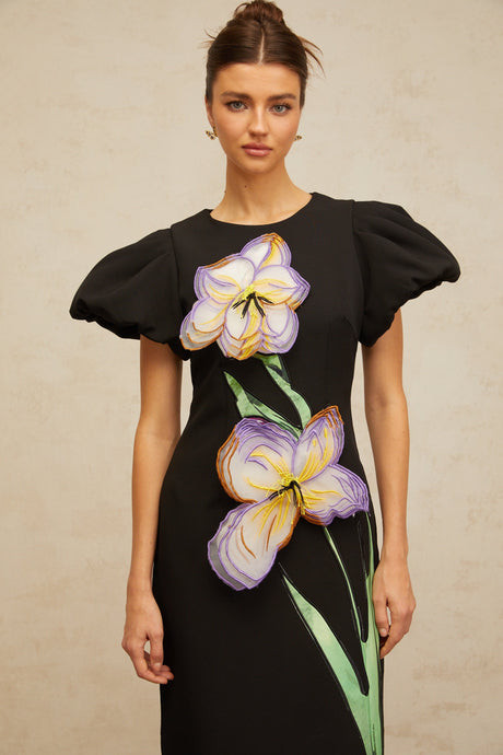 Aurohaya Irène sequined floral-embroidered midi dress in Black