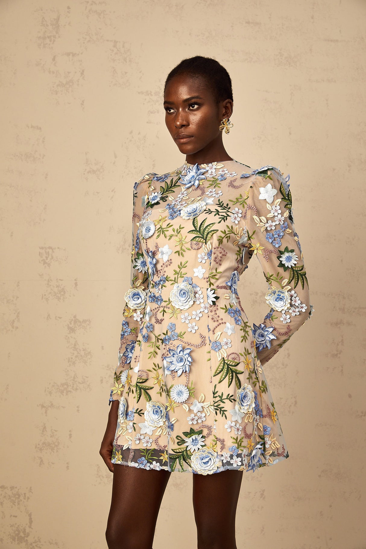 Aurohaya Jolien Blue Floral Appliqué Embroidered Tulle Mini Dress