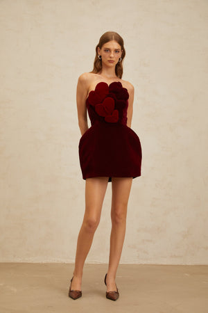 Aurohaya Coralie Red Heart Appliqué Velvet Mini Dress