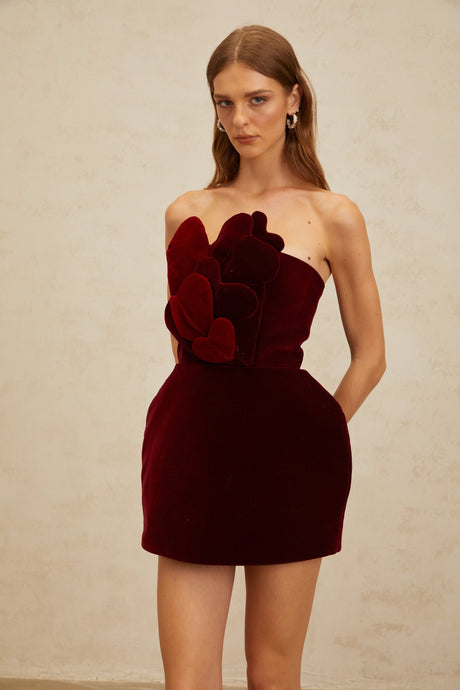 Aurohaya Coralie Red Heart Appliqué Velvet Mini Dress