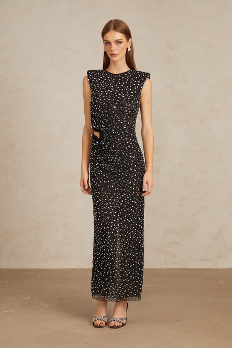 Aurohaya Félicie Black Embellished Mesh Maxi Gown