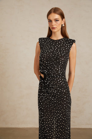 Aurohaya Félicie Black Embellished Mesh Maxi Gown
