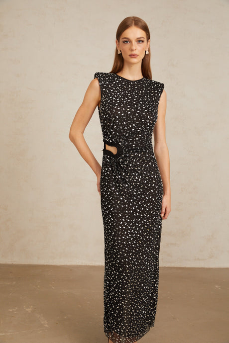 Aurohaya Félicie Black Embellished Mesh Maxi Gown