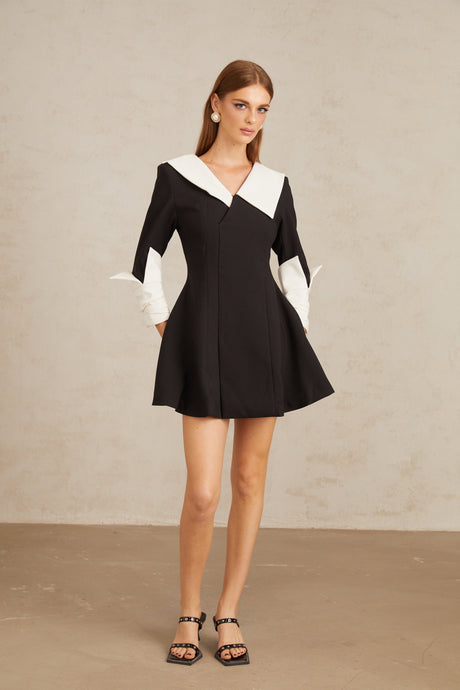 Aurohaya Carine Color Block Flared Mini Dress