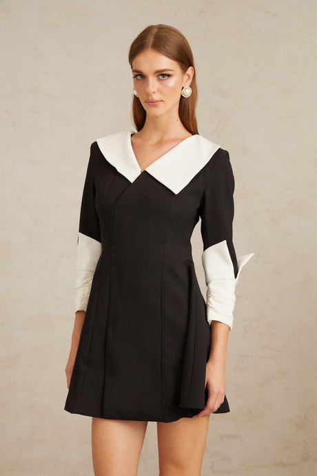 Aurohaya Carine Color Block Flared Mini Dress