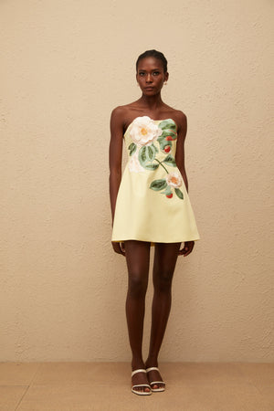 Aurohaya Abigail Yellow Floral Embroidered Mini Dress