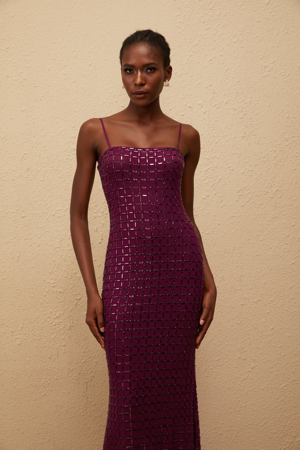 Aurohaya Térébenthine Purple Rhinestone Mesh Maxi Dress