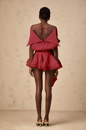 Aurohaya Amélie Red Floral Appliqué Flounced Mini Dress