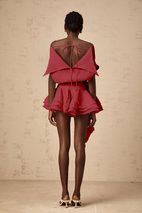 Aurohaya Amélie Red Floral Appliqué Flounced Mini Dress