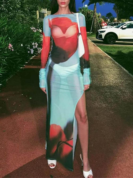 Aurohaya Mesh Floral Print Round Neck Long Sleeve Stretch Maxi Dress Blue