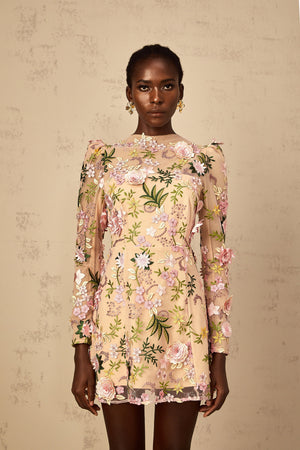 Aurohaya Jolien 3D Floral Appliqué Mini Dress in Pink