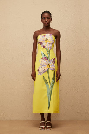 Aurohaya Irène Sequin Embroidered Off-Shoulder Midi Dress in Yellow