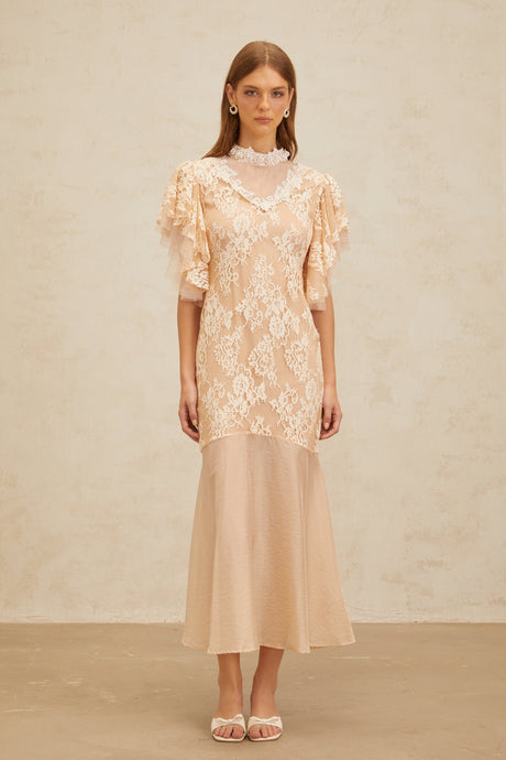 Aurohaya Annabelle Embellished Floral Lace Panelled Midi Dress in Neutrals
