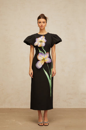 Aurohaya Irène sequined floral-embroidered midi dress in Black