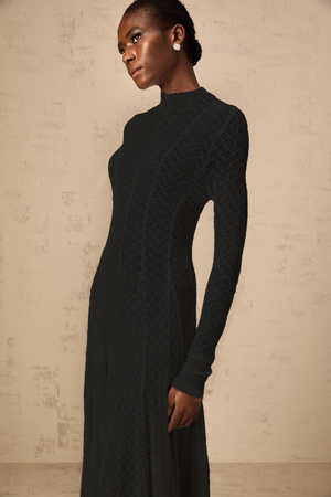 Aurohaya Athena wavy-pattern lace maxi dress in Black