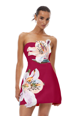 Aurohaya Automne Pink Floral Embroidered Mini Dress