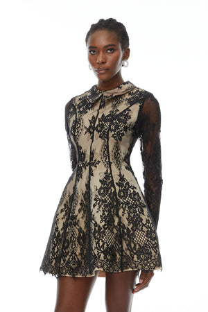 Aurohaya Aleksandra Black Floral Lace Mini Dress