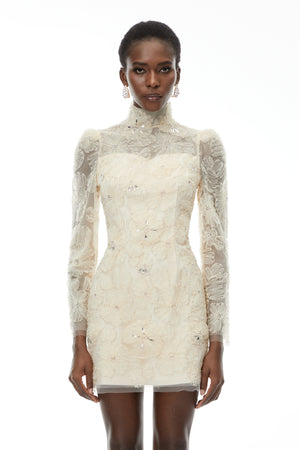 Aurohaya Aurélie Neutral Lace Embroidered Mini Dress