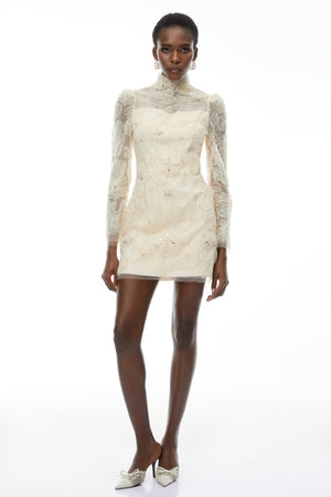 Aurohaya Aurélie Neutral Lace Embroidered Mini Dress