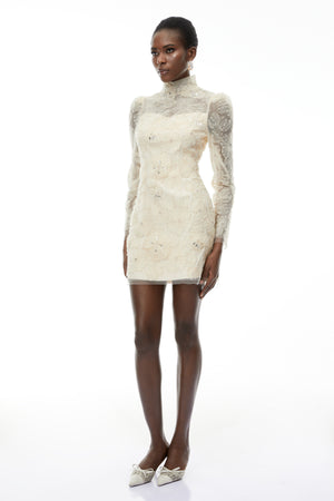 Aurohaya Aurélie Neutral Lace Embroidered Mini Dress