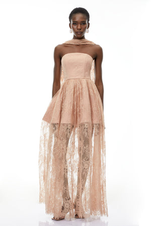 Aurohaya Cassidy Pink Floral Appliqué Maxi Dress