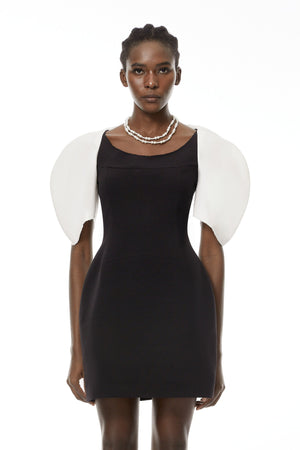Aurohaya Catalina Black Color Blocked Mini Dress