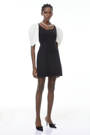 Aurohaya Catalina Black Color Blocked Mini Dress